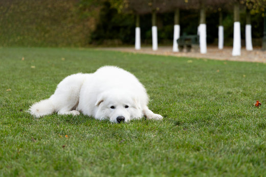 N°4 : Nettoyer sans agresser